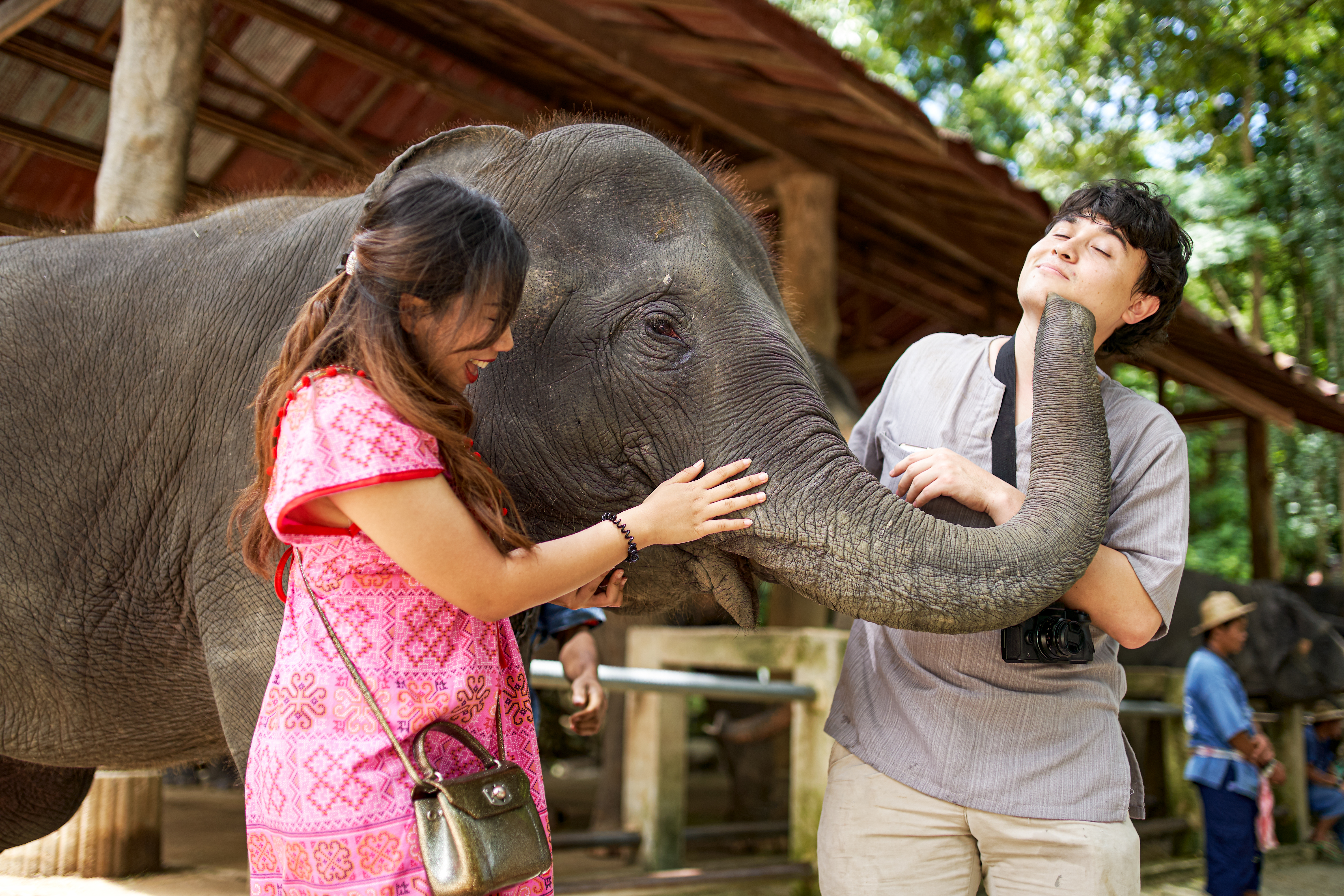 Elephant sanctuary visit