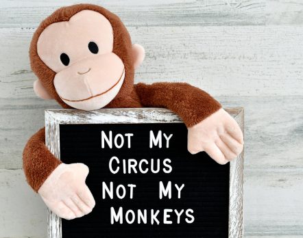 Stuffed animal monkey holding a message board sign saying, Not my circus, Not my monkeys